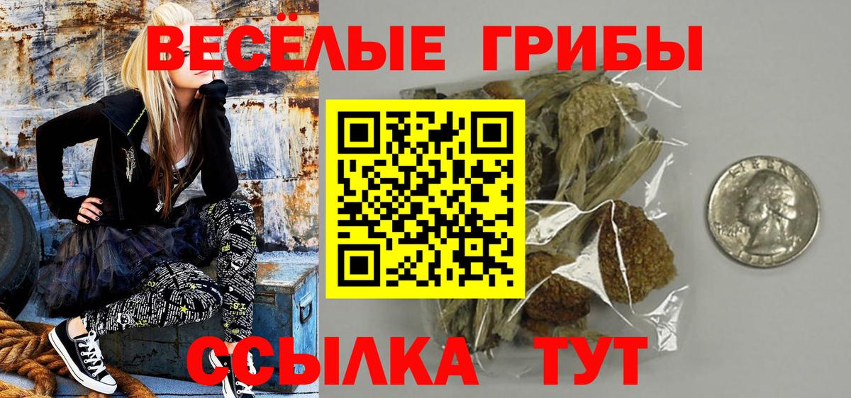 Псилоцибиновые грибы GOLDEN TEACHER Конаково